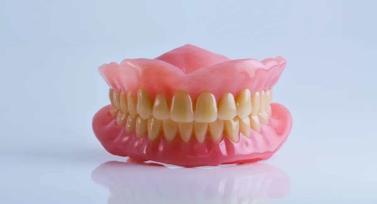A model of a dental Dentures