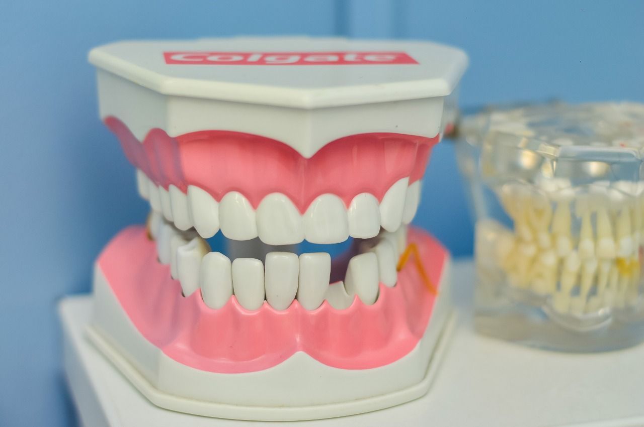 A teetth model